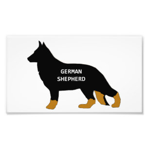 German Shepherd name silo bi color Photo Print