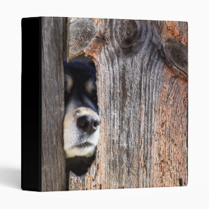 German Shepherd Nose Peeking Through Fence 3 Ring Binder