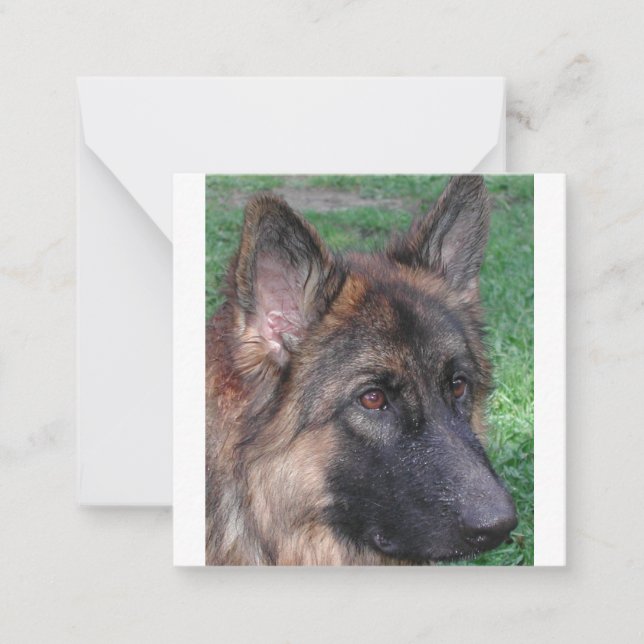 german shepherd note card (Front)