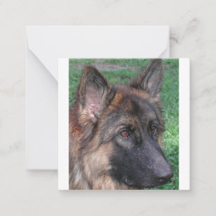 german shepherd note card