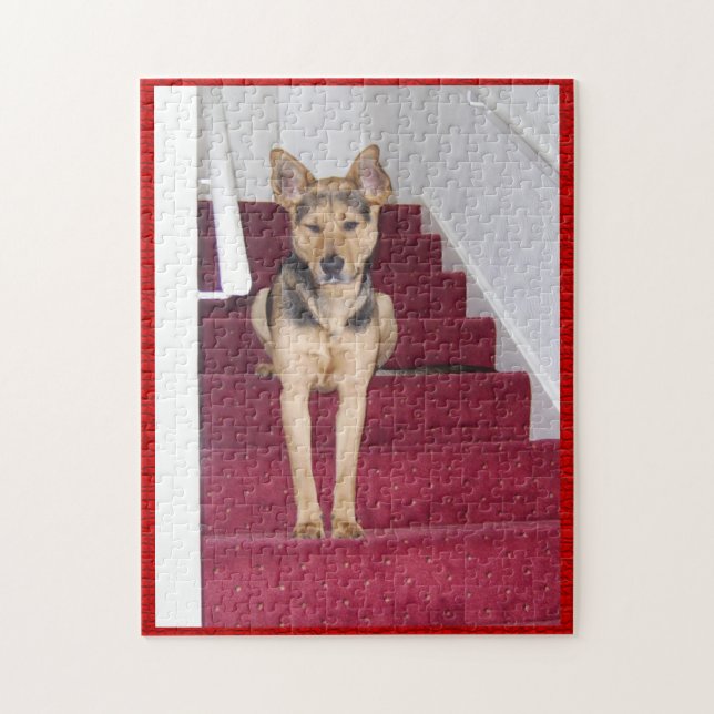 German Shepherd on Stairs Jigsaw Puzzle (Vertical)