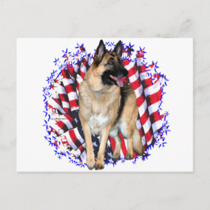 German Shepherd Patriot Postcard