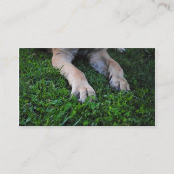 German Shepherd Paws Business Cards by AllyJCat at Zazzle