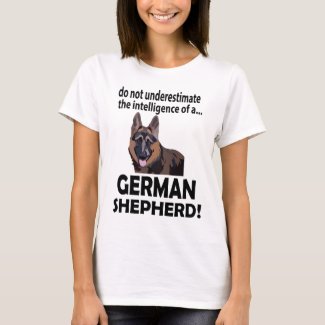 German Shepherd Pet Animal Rescue German Shepherd
