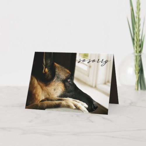 German Shepherd Pet Loss Sympathy Card