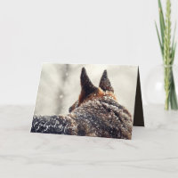 German Shepherd Pet Loss Sympathy
