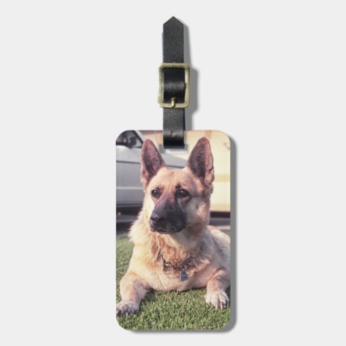 German Shepherd Pet Lover Protective Custom Dog Luggage Tag
