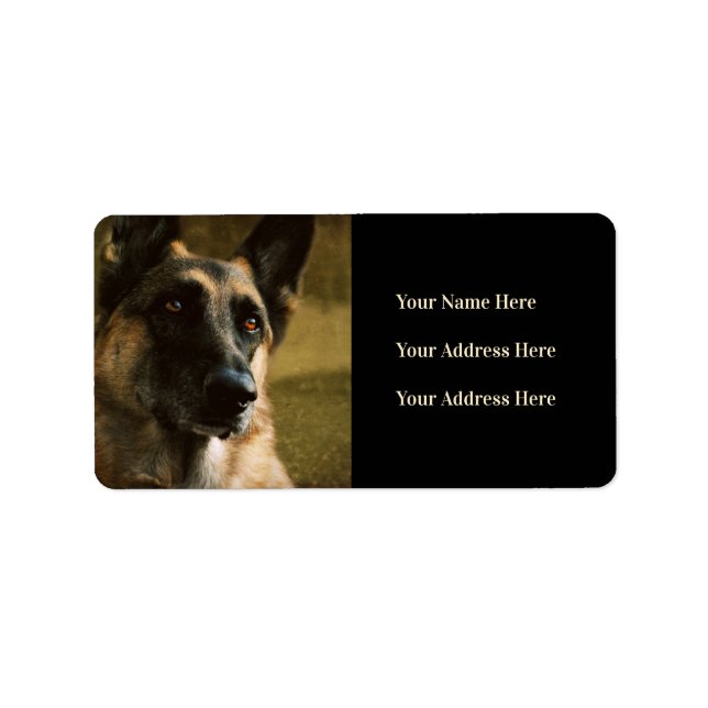 German Shepherd Photo Address Labels (Front)