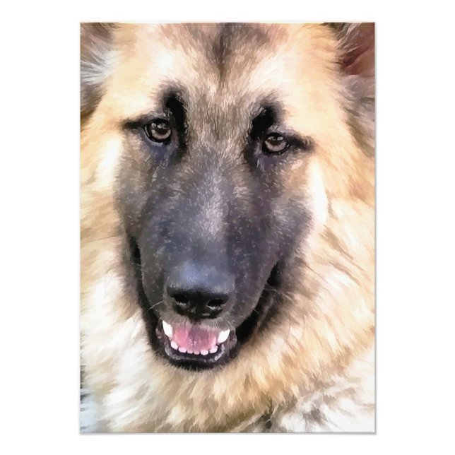 GERMAN SHEPHERD PHOTO PRINT (Front)