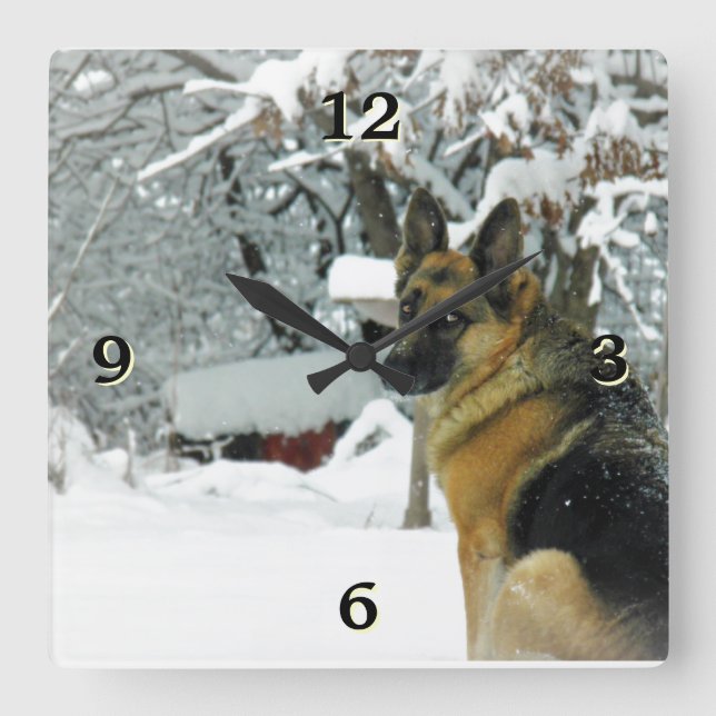 German Shepherd Photo Wall Clock (Front)