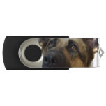 German Shepherd  Picture Flash Drive