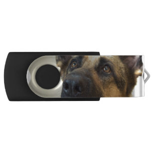 German Shepherd  Picture Flash Drive