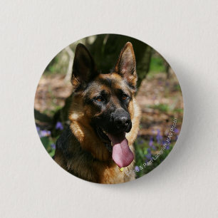 German Shepherd Pinback Button