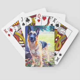 German Shepherd Playing Cards