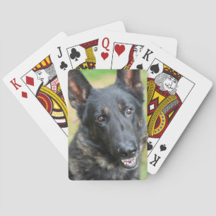 German Shepherd Poker Cards