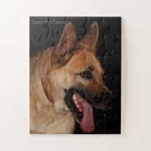 German Shepherd Portrait