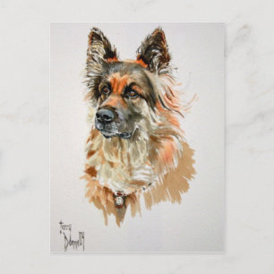 German Shepherd Post Card
