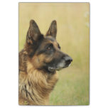 German Shepherd Post-it Notes