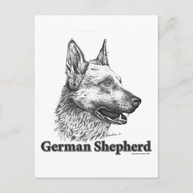 German Shepherd Postcard (Front)