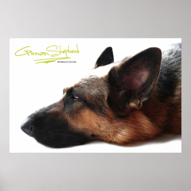 German Shepherd Poster (Front)