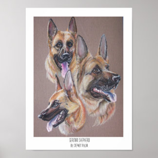 German Shepherd Poster