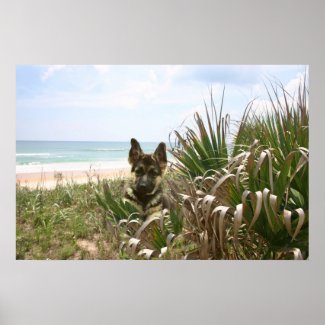 Funny & Vivid German Shepherd Posters & Wall Decor Funny & Vivid German Shepherd Posters & Wall Decor