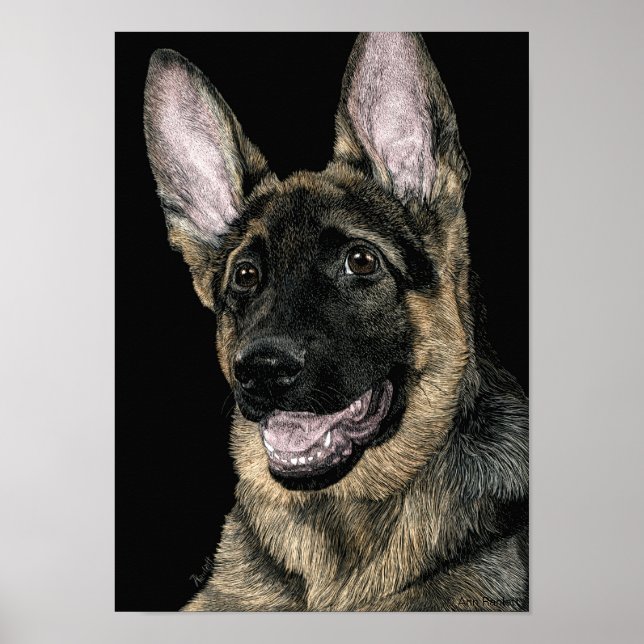 German Shepherd Pup - Poster/Print - "Rommel" Poster (Front)
