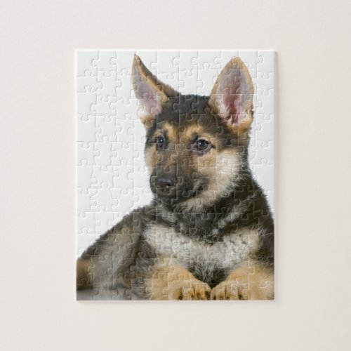 german shepherd pup puppy dog jigsaw puzzle