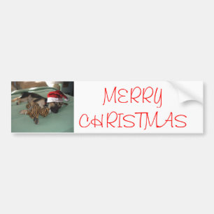 German Shepherd Pup with Santa Hat Bumper Sticker