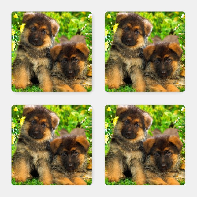 German Shepherd Puppies Coaster Set (Set)