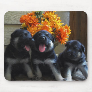 German Shepherd Puppies Mouse Pad