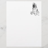 German Shepherd Puppy (Front)