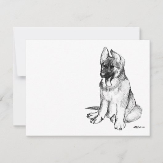 German Shepherd Puppy (Front)