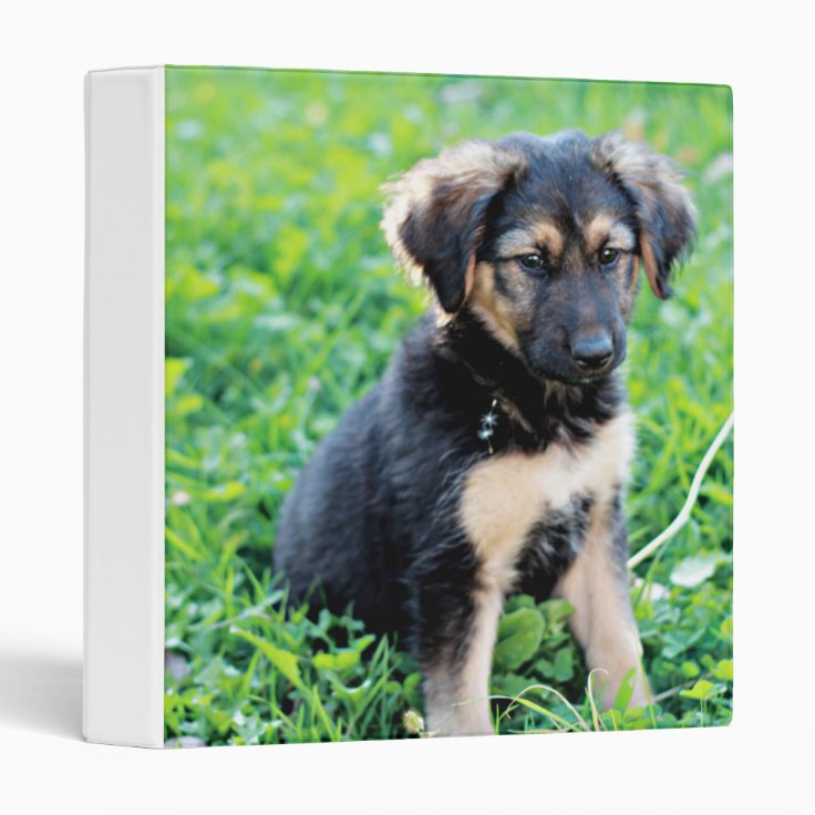 German Shepherd Puppy 3 Ring Binder | Zazzle