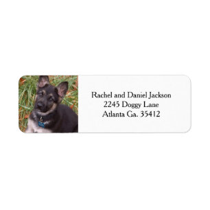German Shepherd Puppy Address Labels