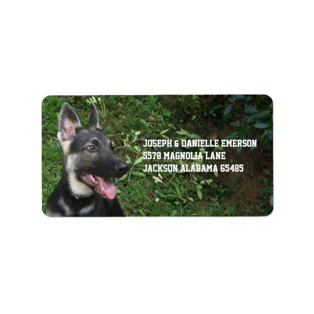 German Shepherd Puppy Address Labels (Front)