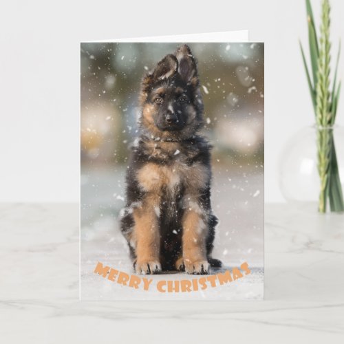 German shepherd puppy at christmas card