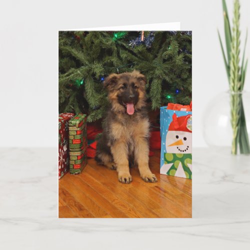 German Shepherd puppy at Christmas Holiday Card