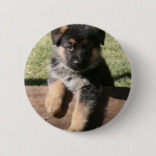 German Shepherd Puppy "Big Max" Pinback Button