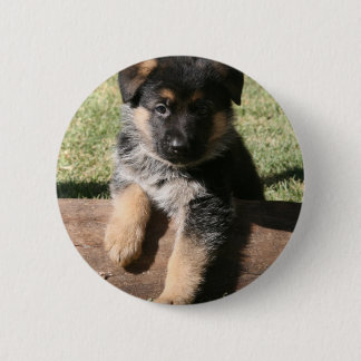 German Shepherd Puppy "Big Max" Pinback Button