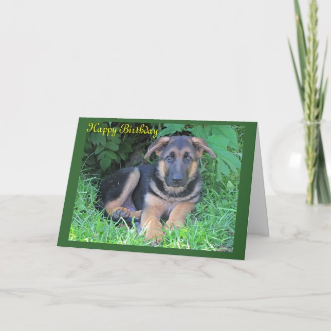 German Shepherd puppy Birthday card (Front)