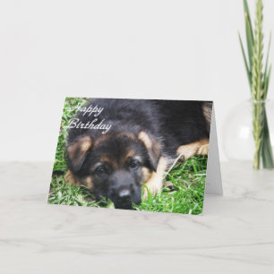 German Shepherd Puppy — Birthday card