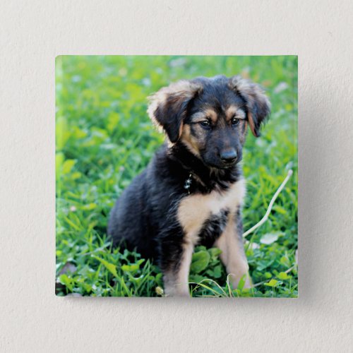 German Shepherd Puppy Button