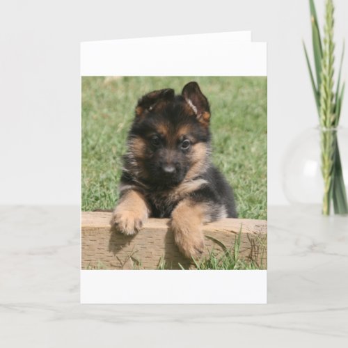 German Shepherd Puppy Card