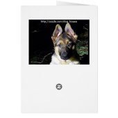 German-Shepherd Puppy Cards (Back)