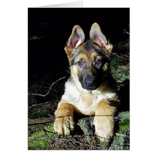 German-Shepherd Puppy Cards
