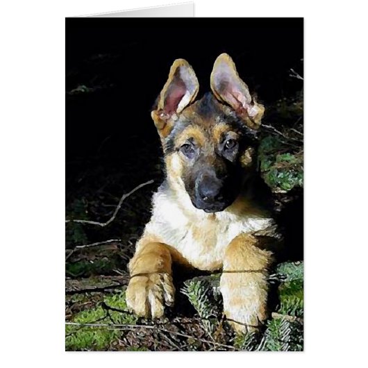 German-Shepherd Puppy Cards (Front)