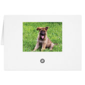 German Shepherd Puppy Cards (Back Horizontal)