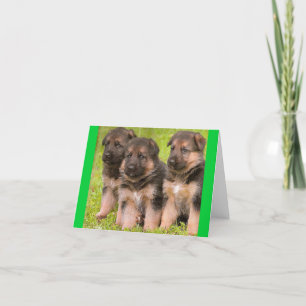 German Shepherd Puppy Dog Blank  Note Card