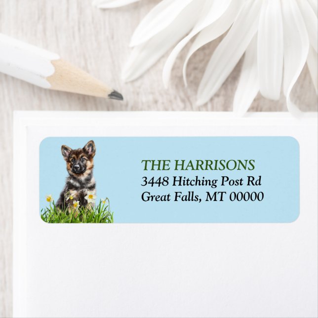 German Shepherd Puppy Dog Daffodil Garden Label (Insitu)